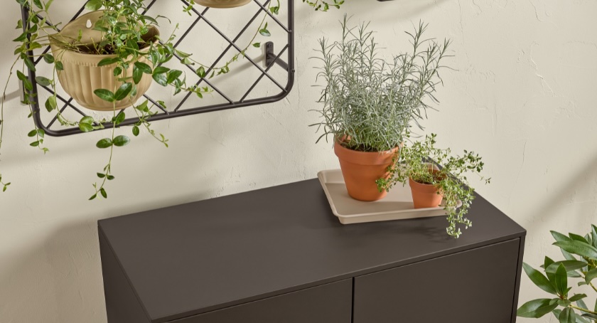 Krylon Names Matte Coffee Bean 2026 Color of the Year